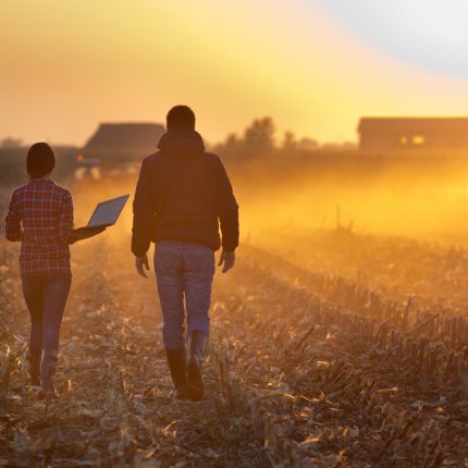 Woman engineer with laptop and landowner walking on harvested corn field during baling at sunset